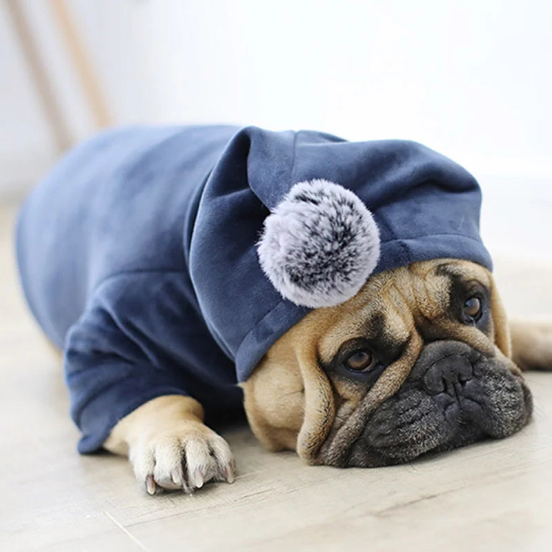 Pet Apparel